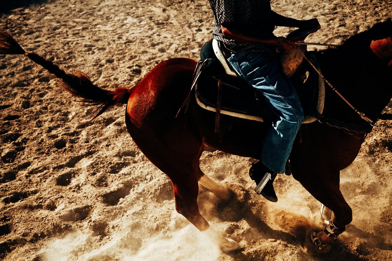 EM-O filtered image 10