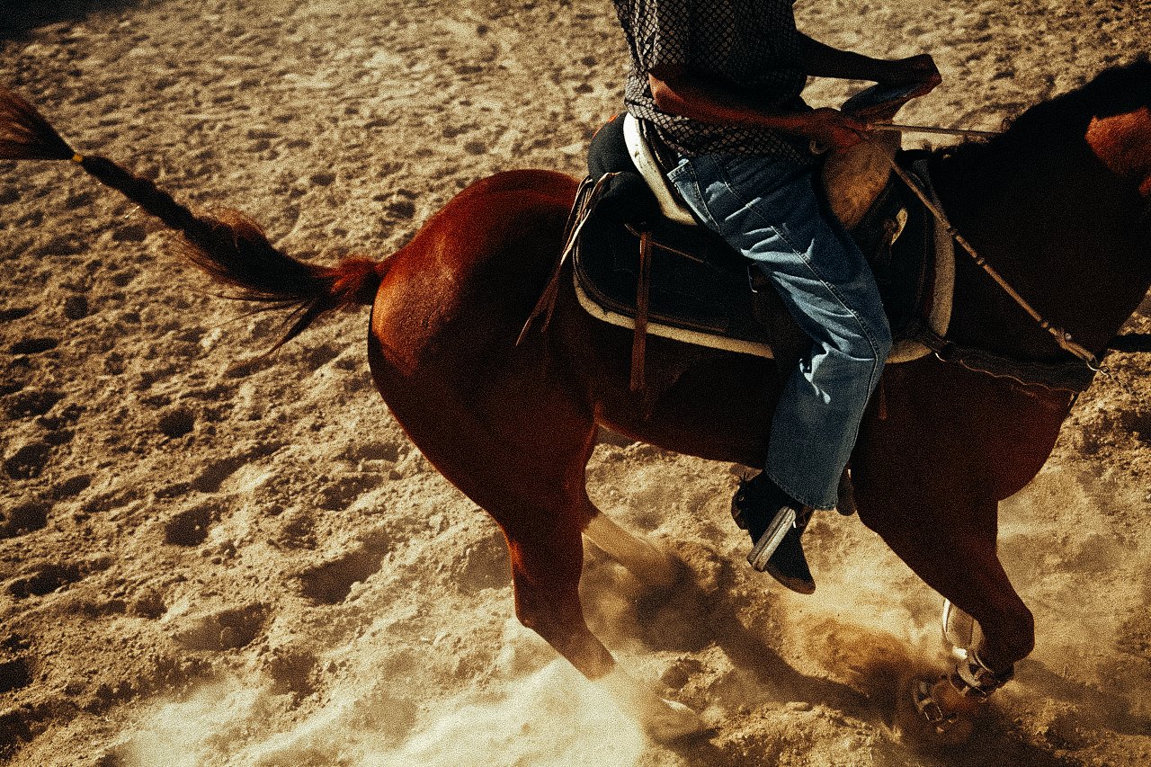 EM-O filtered image 16