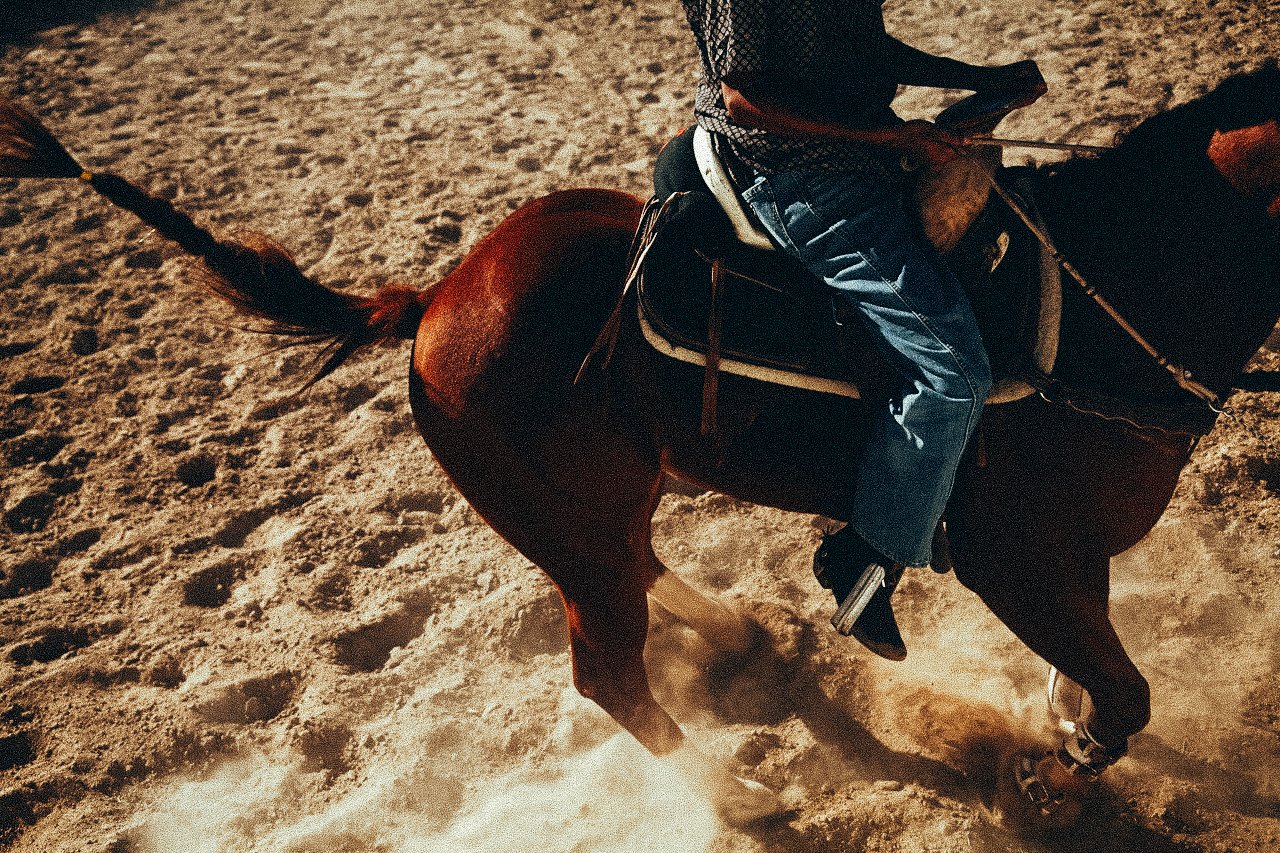 EM-O filtered image 8