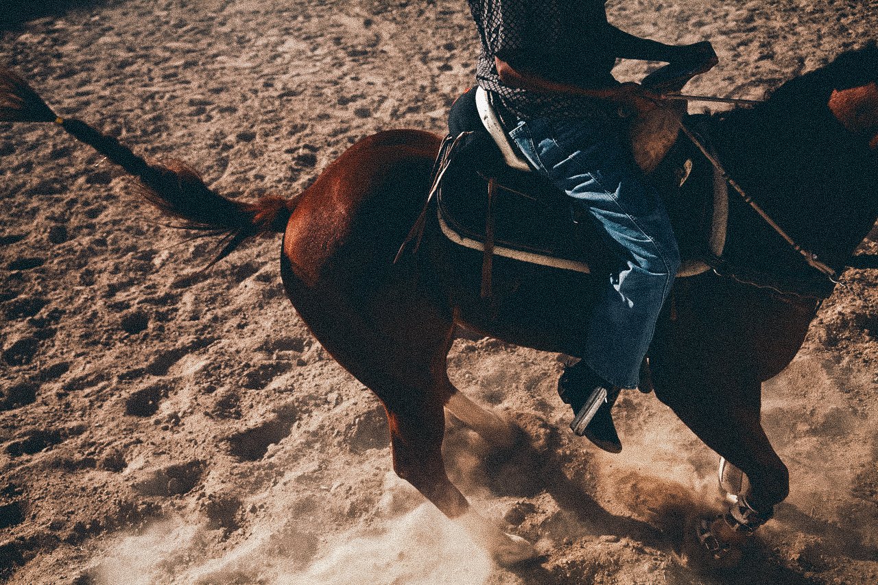 EM-O filtered image 9