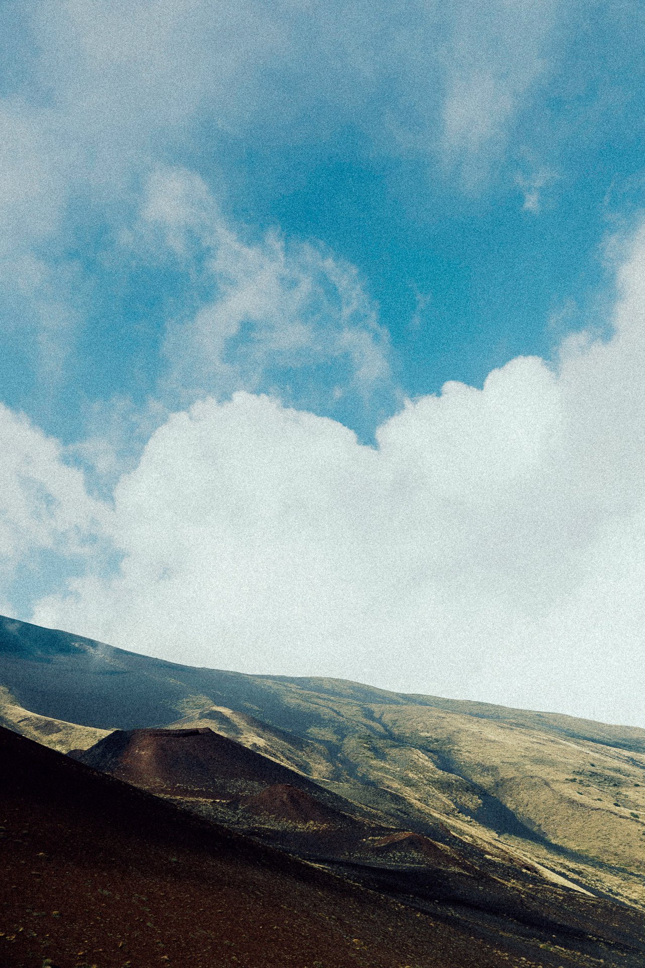 EM-V filtered image 7