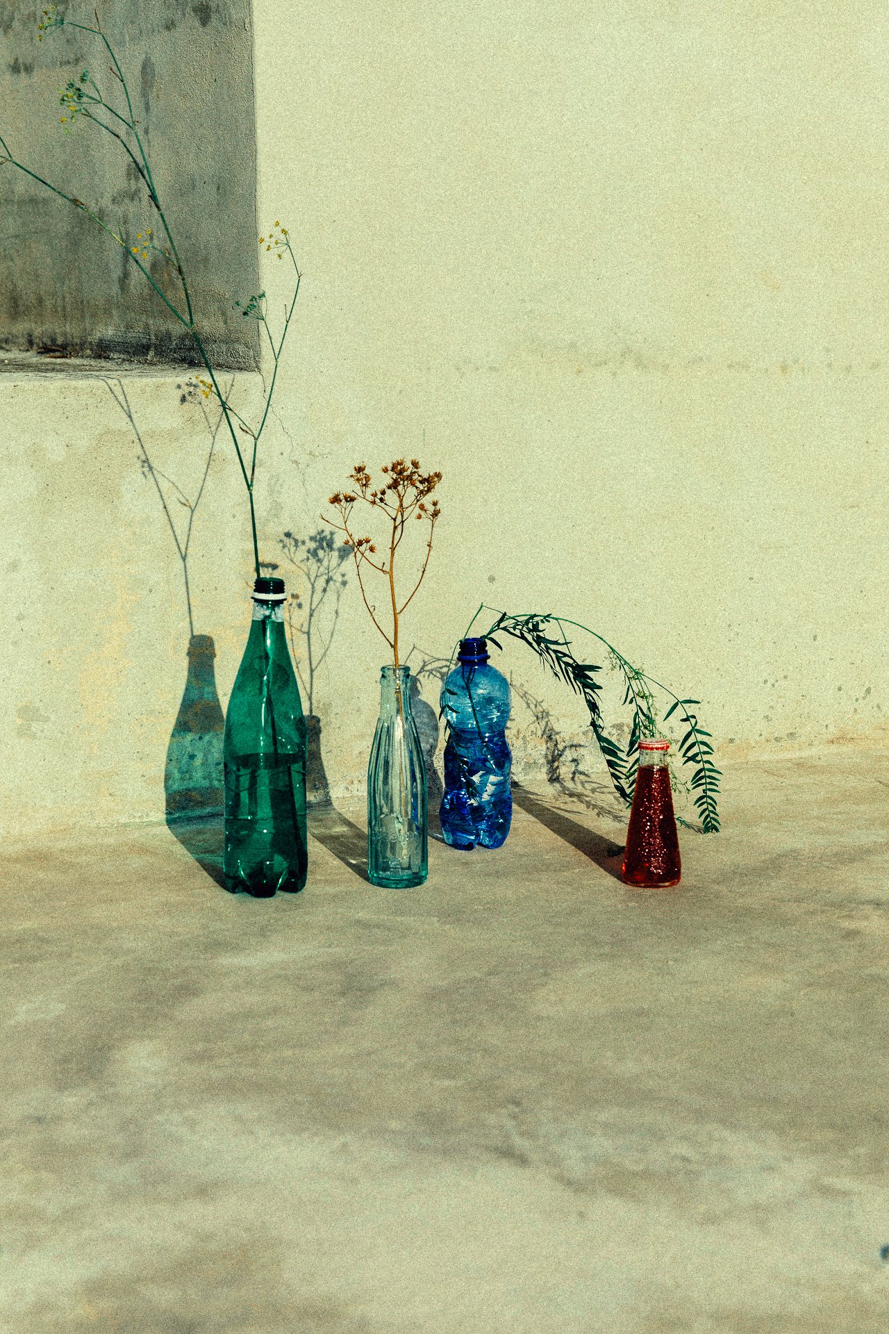 EM-W filtered image 2